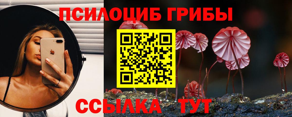 Псилоцибиновые грибы прущие грибы Салехард